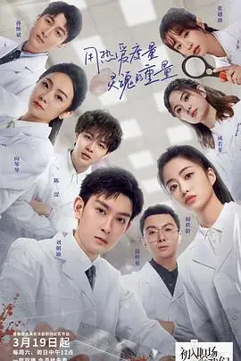 《入职后的我们》：职场新人的酸甜苦辣，一场关于成长与选择的真实职场生存记