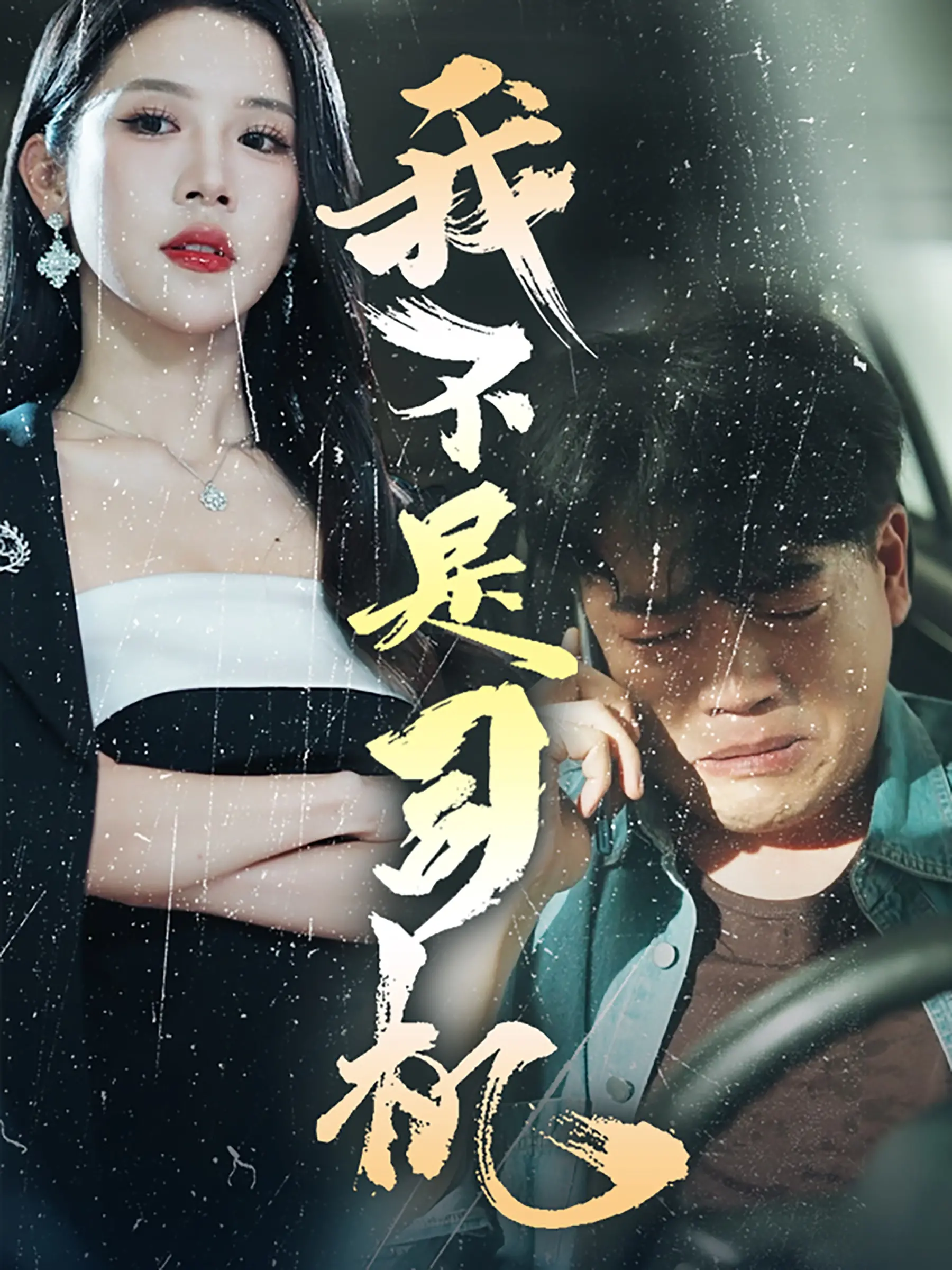 揭开《我不是司机》黑色喜剧的面纱：幽默中的人生荒谬与深刻反思