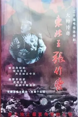 《大帅传奇》：乱世枭雄的崛起之路，看他如何权倾一方！剧情深度解读与人物命运剖析