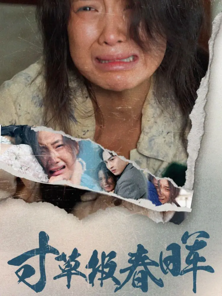 《寸草报春晖》：温暖亲情叙事，致敬每一份平凡的爱与付出